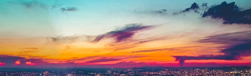 楚雄茶虫网_楚雄品茶